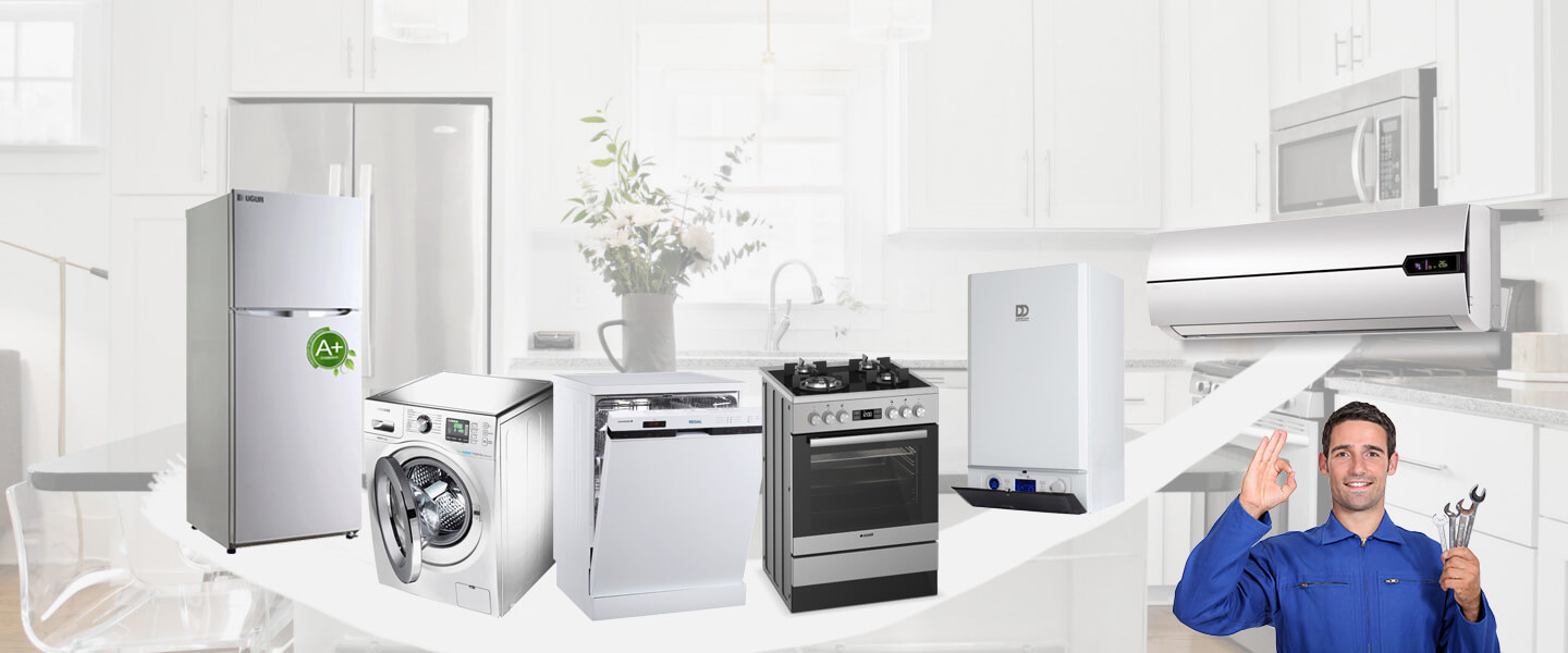 Büyükçekmece Warmhaus Servisi